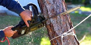 Best Tree Removal  in Strasburg, CO