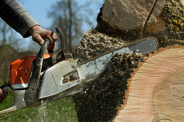 Best Aeration Services  in Strasburg, CO